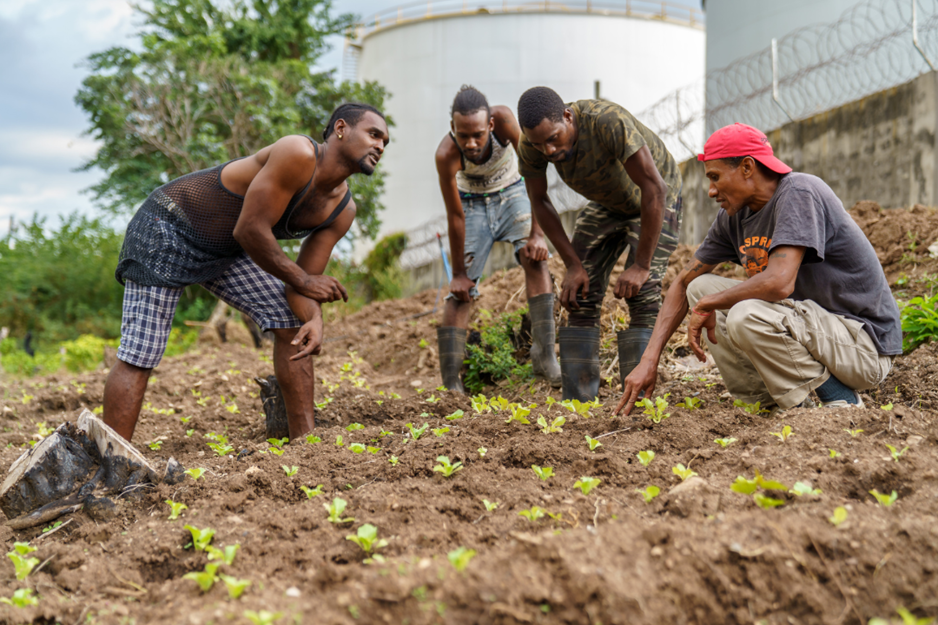 build jamaica .png